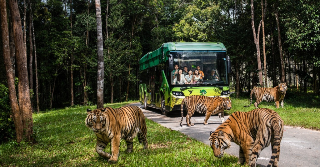 Xe buýt tham quan Safari Park tại Vinpearl Safari Phú Quốc.